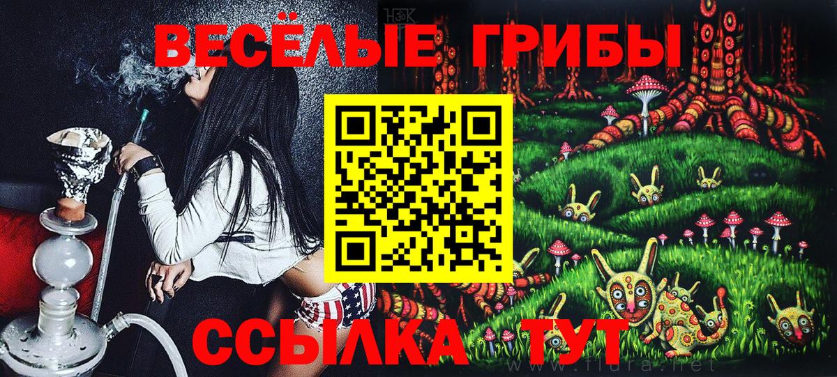 Томск  Псилоцибиновые грибы мухоморы  Вход с VPN 